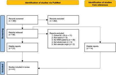 Spatial patterns of white matter hyperintensities: a systematic review